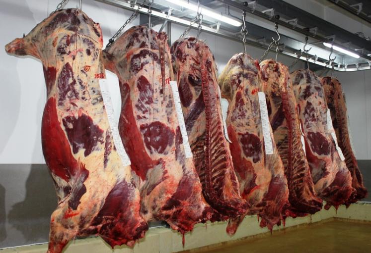 News from the customers