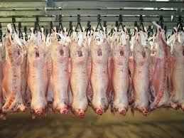 News from the customers