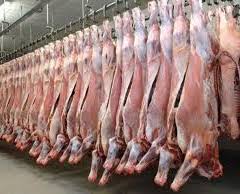 News from the Stakeholders