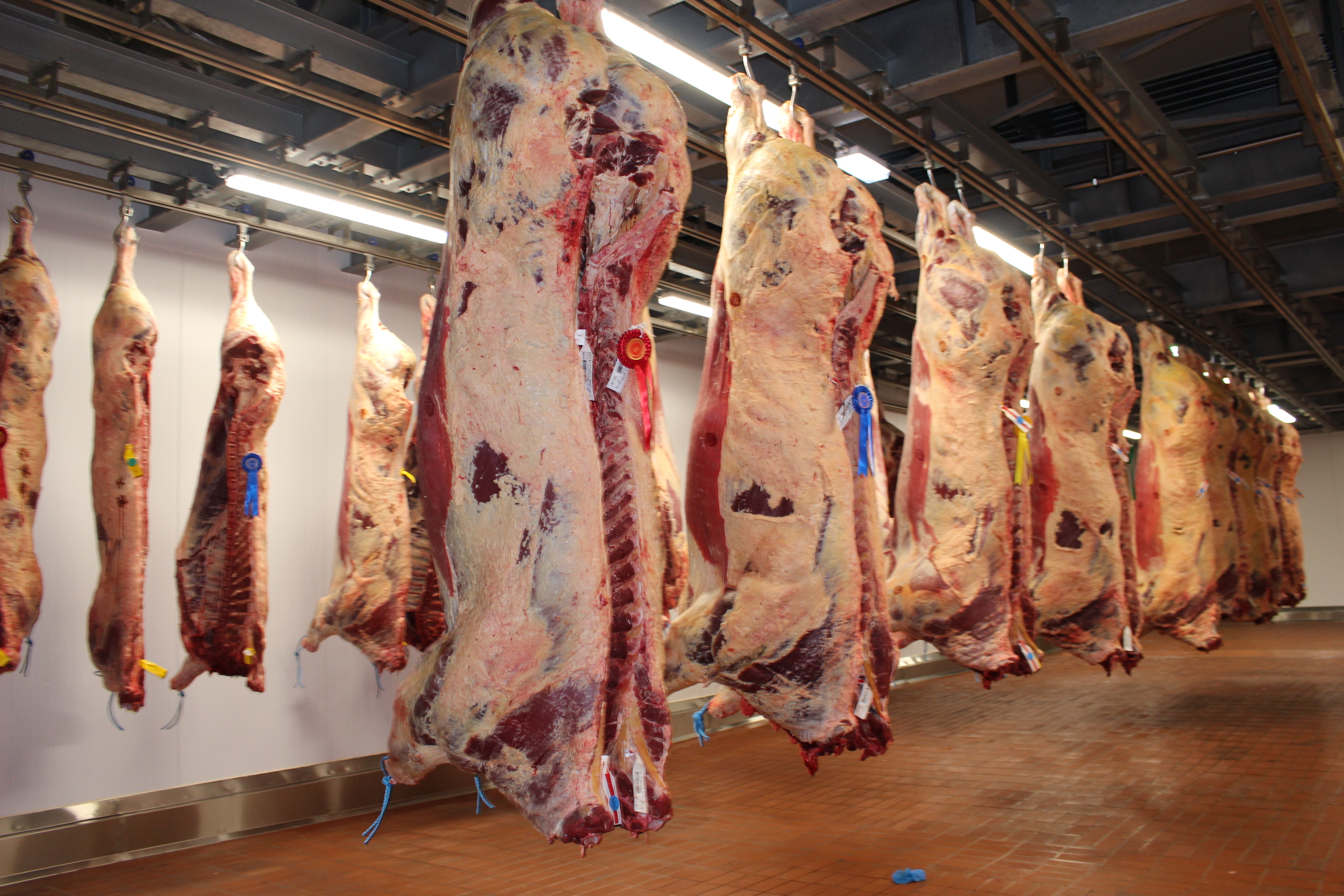 News from the Stakeholders