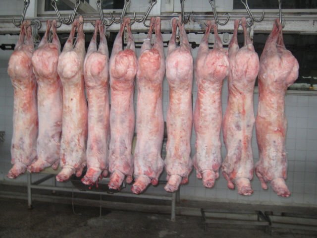 News from the Stakeholders